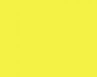 Polyneon 40 1000 M